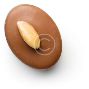 Almond Truffle
